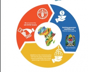 Tanzania achievements - December 2016 - June 2017