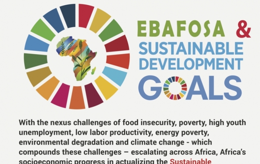 ebafosa-and-sdgs