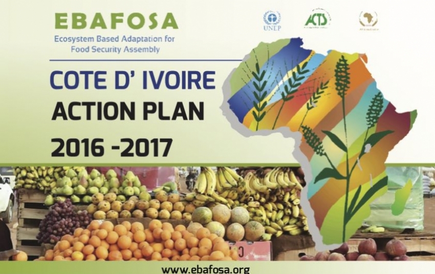 cote-d-ivoire-action-plan