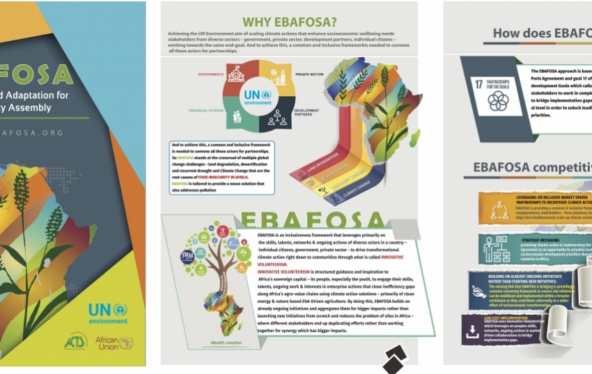 ebafosa-achievements-2019
