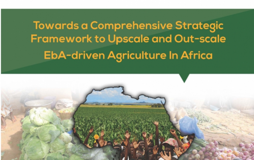 towards-a-comprehensive-strategic-framework-to-upscale-and-out-scale-eba-driven-agriculture-in-africa