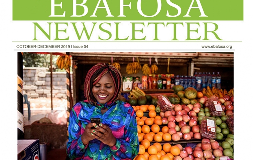 ebafosa-perspective-4