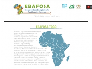 Togo achievements - December 2016 - June 2017