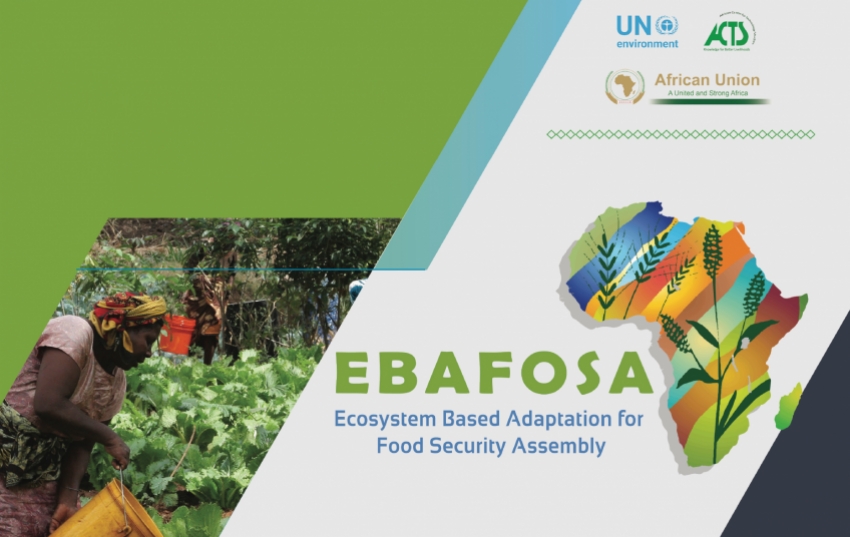 EBAFOSA Vision & Mission