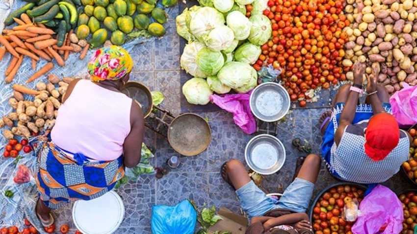 integrating-climate-action-solutions-into-food-systems-in-botswana