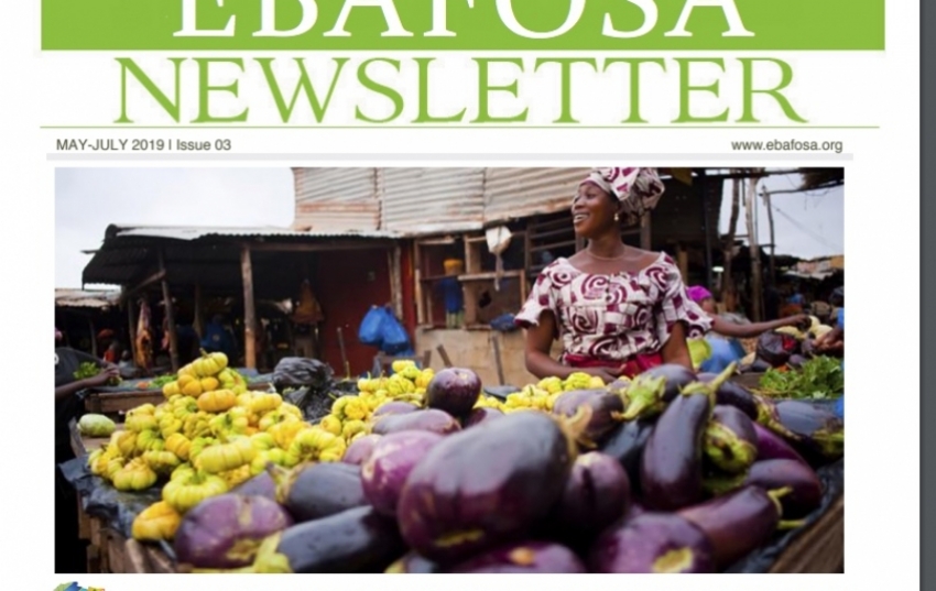 ebafosa-perspective-issue-1