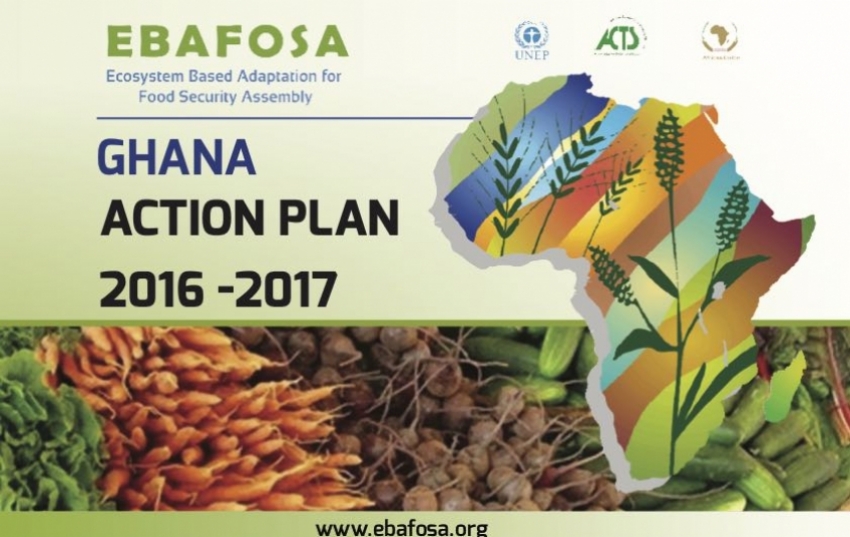 ghana-action-plan