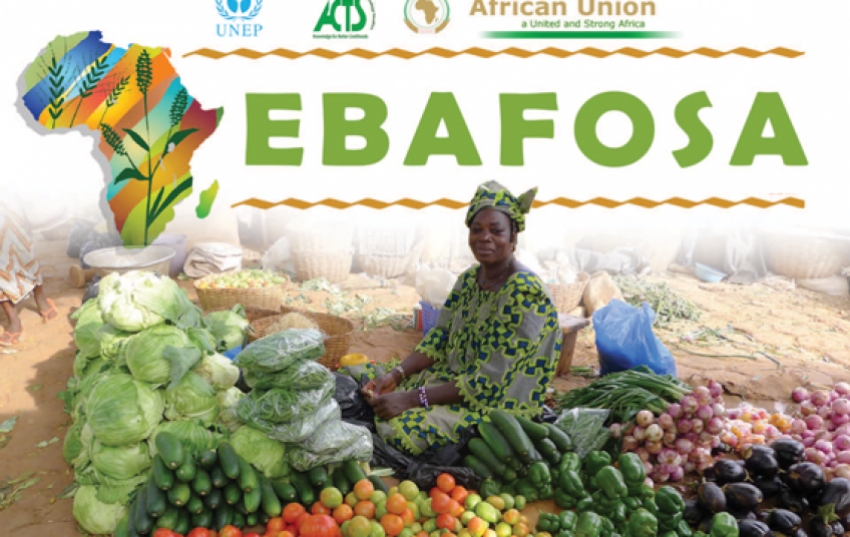 ebafosa-brochure